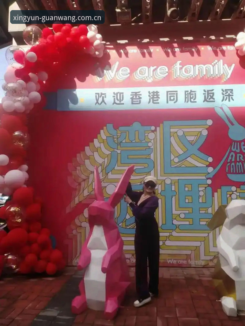 揭秘杏运体育下载地址常见问题背后的真相：孙总的真实体验与深度解析